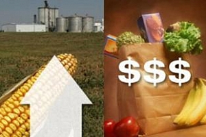  През февруари 2012 г. продоволственият индекс FAO се повиши с 1%