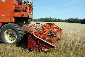 Agritel: Прогноза за износа на пшеница от Русия през сезон 2013/14