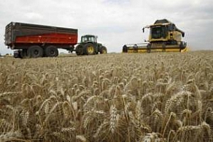 Ирак планира да удвои производството на пшеница и да се превърне в износител 
