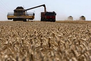 ЕС: За 2012 производстовто на мекозърнеста пшеница ще се увеличи с 2%