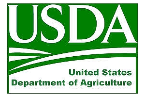 Пазара на царевица продължава да е под напрежение и след доклада на USDA