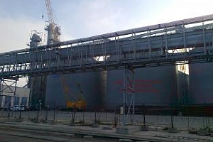 Експорт на зърно и маслодайни култури от пристанище Варна 13-20 април