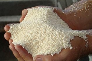 Последици за зърнено-житните култури при недостиг на Азот