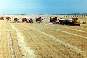 Русия и Украйна заявиха, че няма никакви основания за ограничаване на износa 