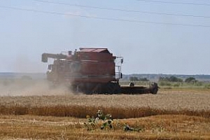 Русия потвърди прогнозата за зърнената реколта - 75 млн. тона