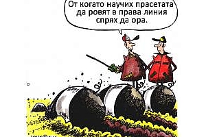 Плевнята: Обучени прасета помагат на нивата