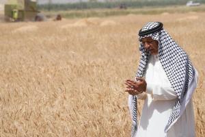 Саудитска Арабия договаря внос на хлебна пшеница за юни/юли 2024