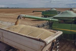 USDA: забавяне в сеитбената и жътвената кампания в САЩ
