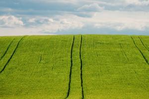 Следващата жертва на блокадата може да бъде самата сеитба