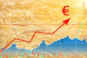 Инфлацията се ускорява: Храните може да поскъпнат и през 2027 г.