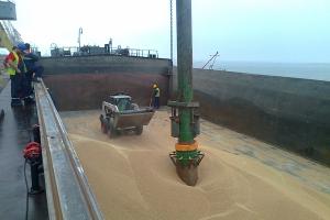 Експортът на пшеница от Аржентина стартира ударно сезона