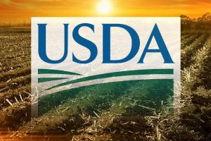 USDA очаква рекордни реколти от пшеница, царевица и слънчоглед
