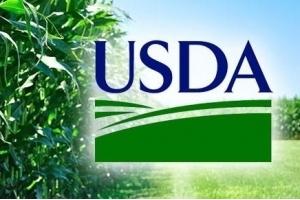 USDA в Букурещ прогнозира 8.3Ммт пшеница в сезон 2020/21