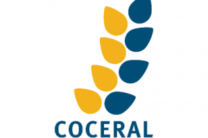 Coceral прогнозират 5.82Ммт реколта от пшеница в България