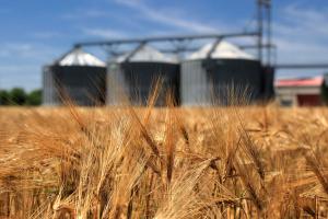 Корекция на продукцията на пшеница и ечемик за 2020/21 от Европейската комисия