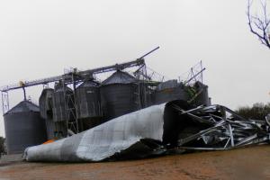 Зърнените пазари покриват къси, след щети от урагана в САЩ