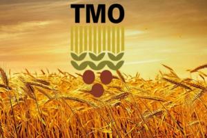 Турция обяви търг за хлебна пшеница
