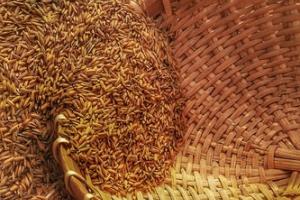 Разпродажба при пшеницата, царевицата и соята