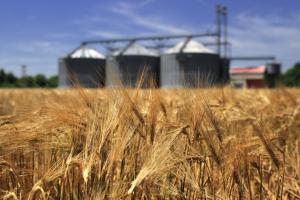 Цените маневрират в двете посоки на фона на днескашния USDA доклад