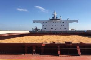 Русия изнася двойно повече пшеница през юни благодарение на новите мита Русия изнася двойно повече пшеница през юни благодарение на новите мита