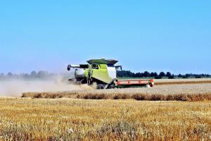 В Молдова очакват до 7т/ха среден добив от пшеница