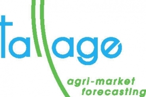 Strategie Grains виждат повече пшеница, ечемик и царевица в ЕС