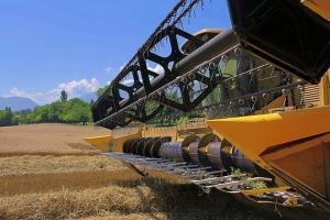 USDA впечатляващо орязва реколтата с пшеница в Русия