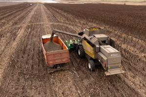 USDA виждат силен внос на слънчоглед, масло и шрот в Турция