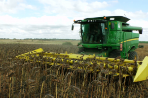 Strategie Grains повишават реколтата от рапица и слънчоглед в ЕС