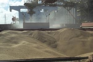 Международни търгове подкрепят зърнените пазари